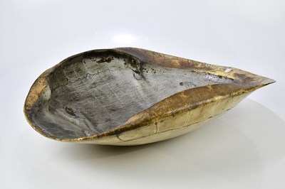 Lot 1250 - TAXIDERMY; a loggerhead blond turtle shell,...