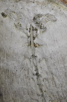 Lot 1250 - TAXIDERMY; a loggerhead blond turtle shell,...