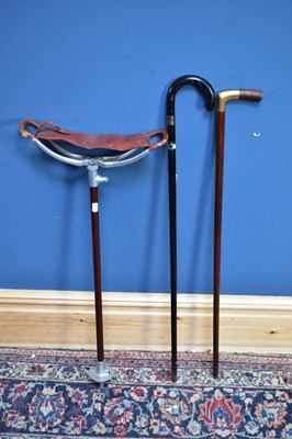 Lot 1352 - Two walking sticks and a shooting stick (3).