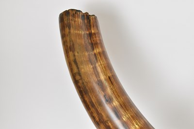 Lot 392 - NATURAL HISTORY; a woolly mammoth tusk...