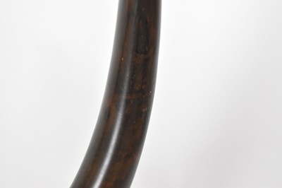 Lot 392 - NATURAL HISTORY; a woolly mammoth tusk...