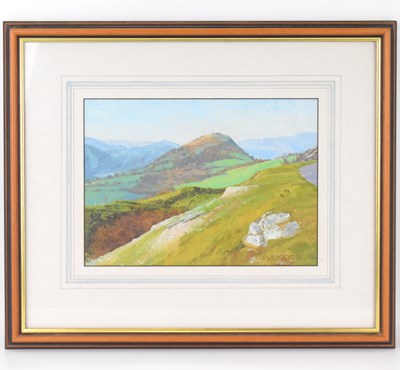 Lot 730 - IAN WILDGOOSE (Welsh, modern); oil on paper,...