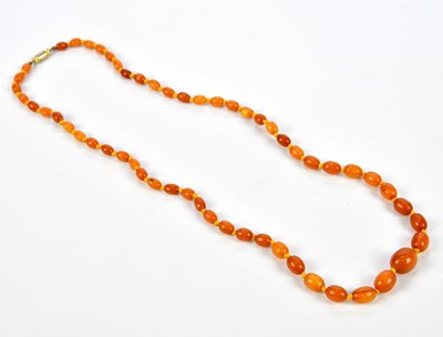 Lot 1036 - A butterscotch amber coloured beaded necklace,...