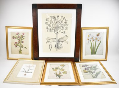 Lot 273 - A set of four botanical prints of flowers,...