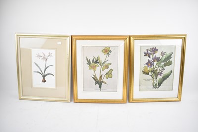 Lot 273 - A set of four botanical prints of flowers,...