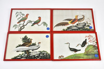 Lot 1016 - Four 18th century Chinese pith paintings of...