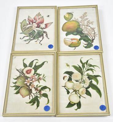 Lot 1028 - Four Chinese 18th century pith paintings,...