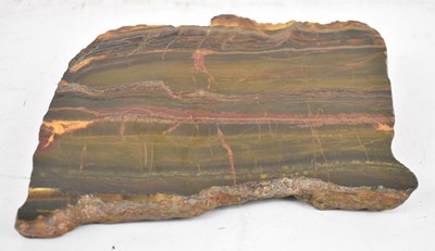 Lot 398 - A fossilised wood cross section.