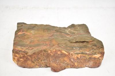 Lot 398 - A fossilised wood cross section.