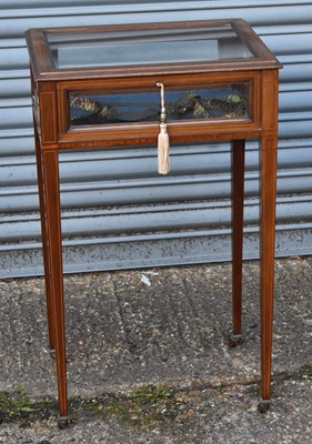 Lot 57 - An Edwardian mahogany and crossbanded display...