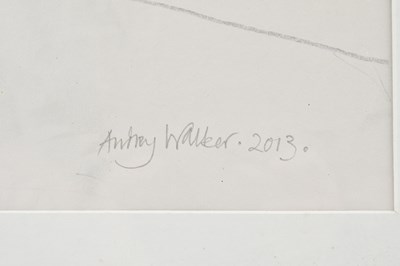 Lot 343 - AUDREY WALKER (1928-2020) pencil 'WHITE...