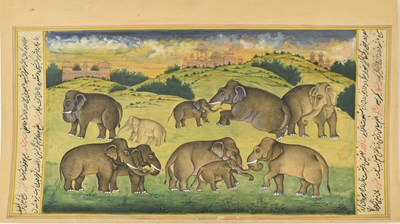 Lot 212 - An Indian ink and gouache, group of elephants,...