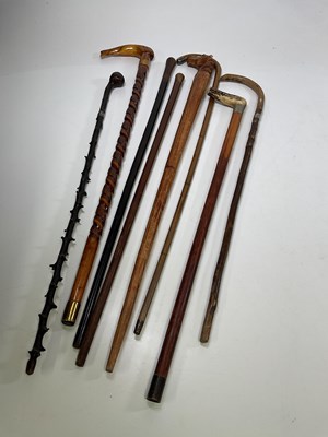 Lot 18 - A collection of eight walking sticks,...