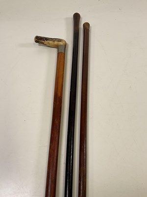 Lot 18 - A collection of eight walking sticks,...