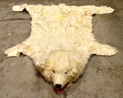 Lot 5142 - TAXIDERMY; a polar bear floor rug