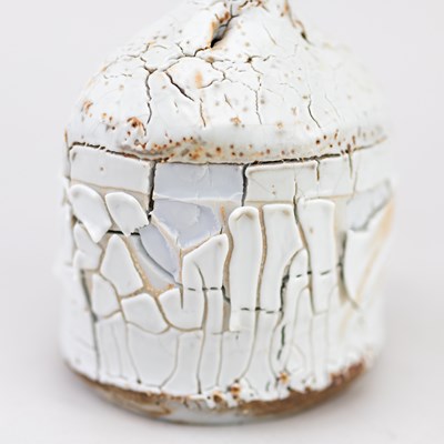 Lot 197 - JANE WHEELER (born 1950); 'Shino Porcelain...