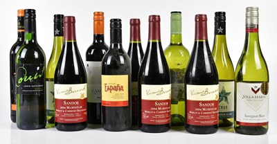 Lot 4261 - MIXED WINE; twelve bottles of mixed wine...