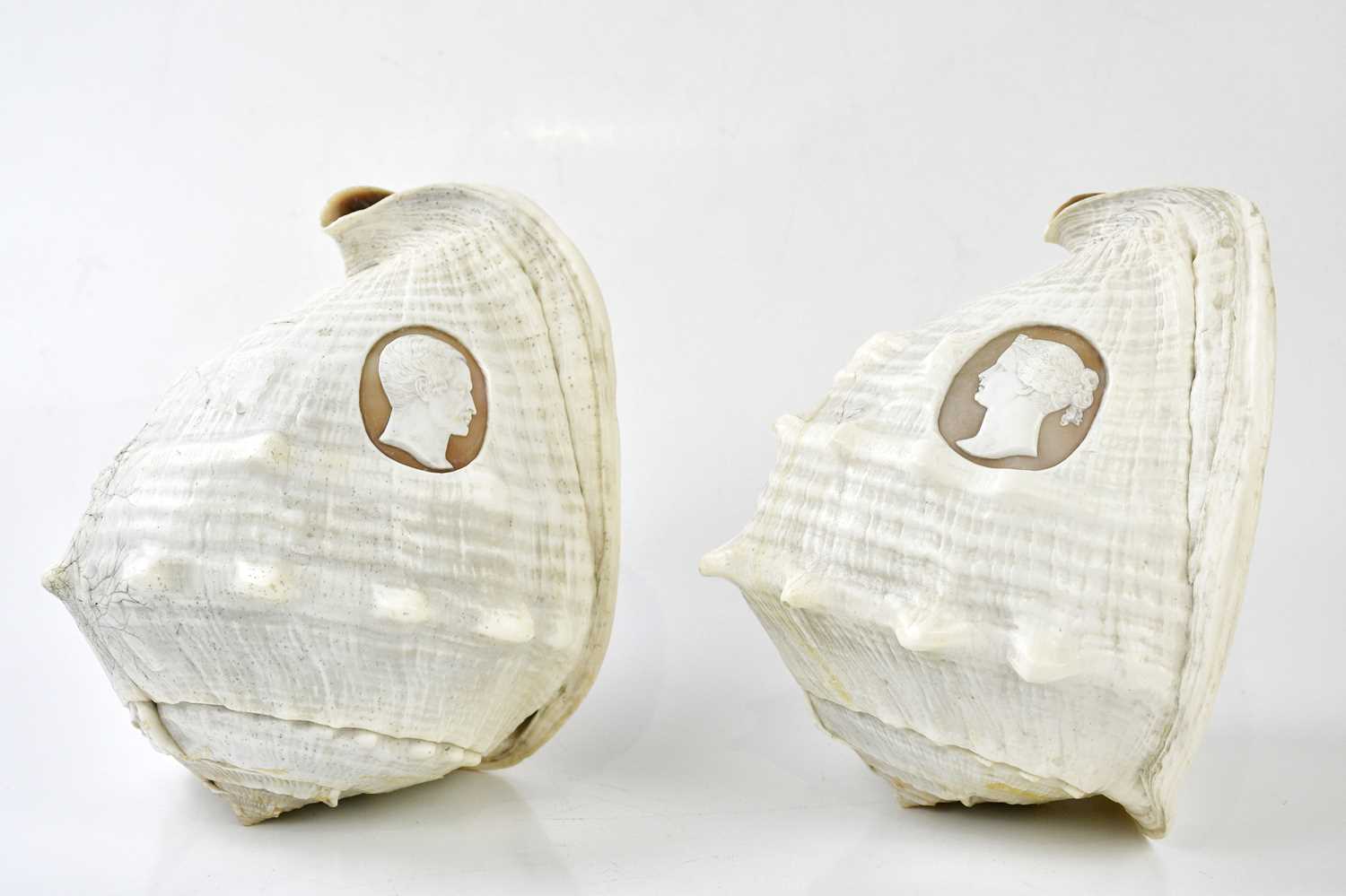 Lot 5001 - A pair of conch shells, each carved with