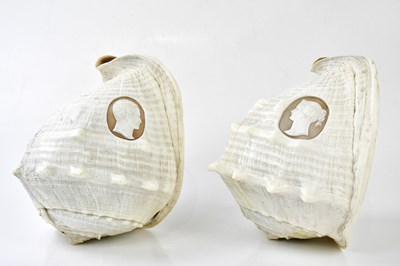 Lot 300 - A pair of conch shells, each carved with...