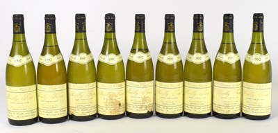 Lot 4251 - WHITE WINE; nine bottles Pouilly-Fume Andre...