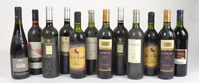 Lot 4198 - RED WINE; twelve bottles of mixed red wine...