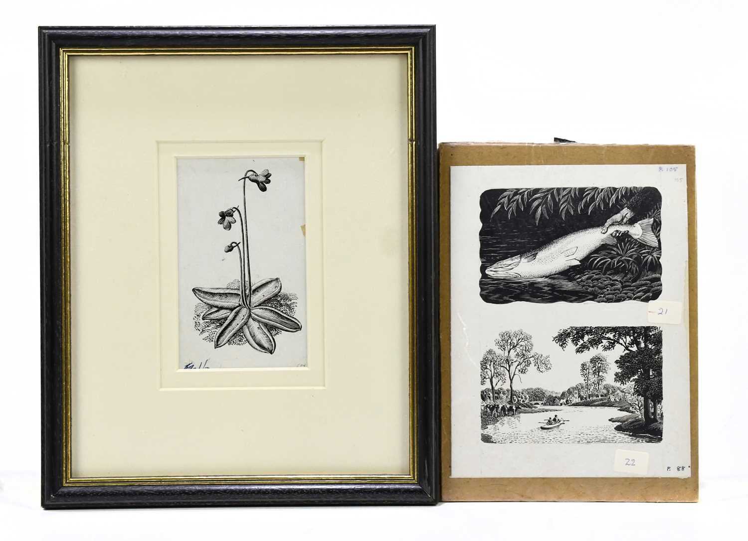 Lot 1010 - CHARLES FREDERICK TUNNICLIFFE; ink drawing,...