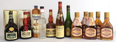 Lot 4071 - MIXED SPIRITS; twelve bottles, including...