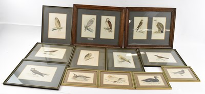 Lot 237 - A pair of oak framed bird prints, each frame...