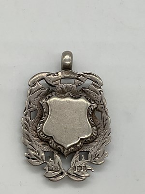 Lot 354 - A silver graduated Albert chain, with boxing...