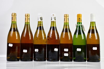 Lot 2867 - WHITE WINE; seven bottles of mixed white wine...