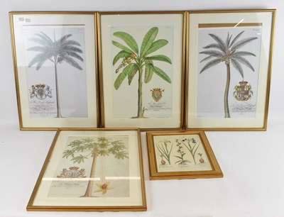 Lot 278 - A set of four botanical prints and another...