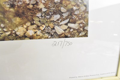 Lot 275 - PAT CLEARY; a signed limited edition print,...