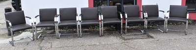 Lot 24 - A set of eight chrome framed office chairs.