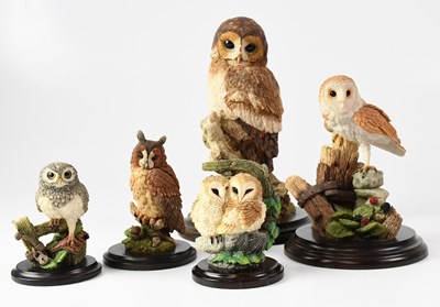 Lot 141 - COUNTRY ARTISTS; five owl figures, comprising...