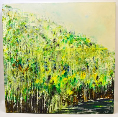 Lot 478 - PETER HILL (born 1965); acrylic on box canvas,...