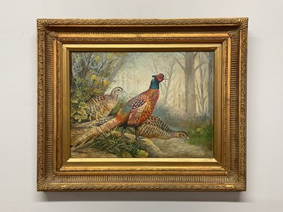 Lot 343 - UNATTRIBUTED; oil on board, three pheasants in...