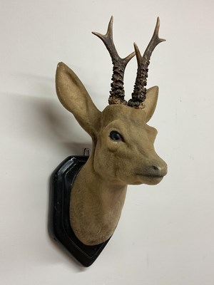 Lot 39 - A mid 20th century roe deer head made from...