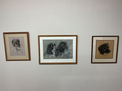 Lot 322 - ANNA FRASER; three pastel studies of dogs, one...