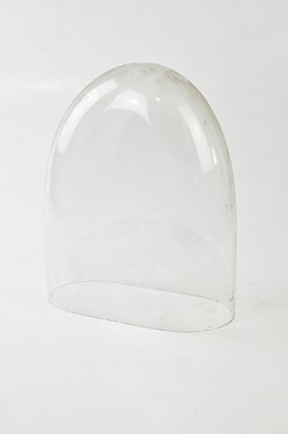 Lot 1488 - A glass dome, height 32cm.