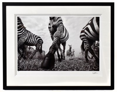 Lot 1169 - ANUP SHAH; a limited edition black and white...