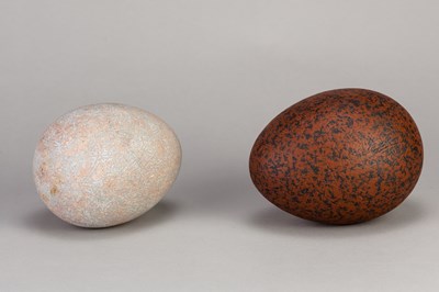 Lot 230 - GARY WORNELL (born 1952); a slipped terracotta...