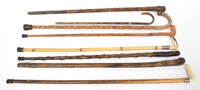 Lot 113 - Eight various walking sticks and canes...