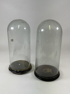 Lot 205 - Two glass domes with ebonised bases, larger...