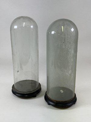 Lot 206 - Two glass domes with ebonised bases, larger...