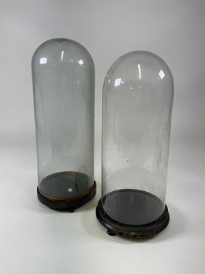 Lot 208 - Two glass domes with ebonised bases, larger...