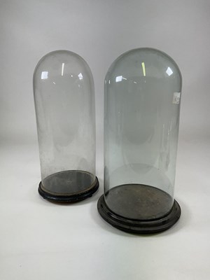 Lot 209 - Two glass domes with ebonised bases, larger...