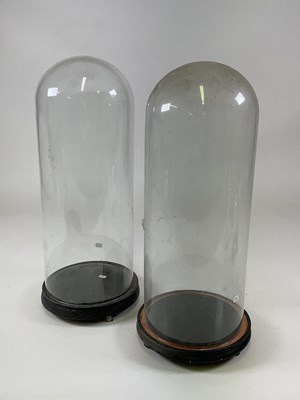 Lot 210 - Two glass domes with ebonised bases, larger...