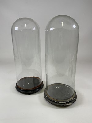 Lot 211 - Two glass domes with ebonised bases, larger...