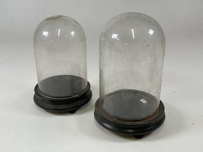 Lot 212 - Two glass domes with ebonised bases, larger...