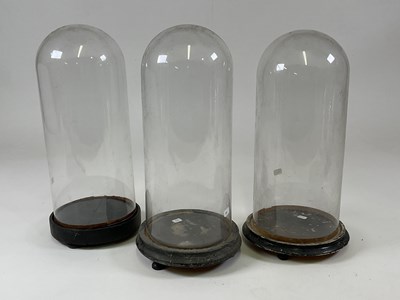 Lot 191 - Three glass domes with ebonised bases, largest...